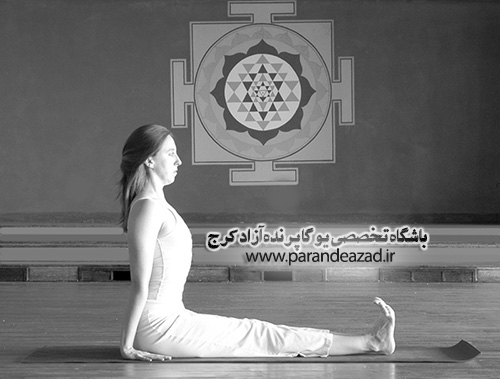 آموزش دانداسانا,آساناهای یوگا,آموزش آساناها,,آموزش یوگا در کرج, کلاس یوگا در کرج, باشگاه یوگا در کرج, یوگا, یوگاکرج, یوگا کرج ,یوگا در کرج, یوگا عظیمیه, باشگاه یوگا, Yoga, یوگا برای بانوان, یوگا البرز,yoga,  مدیتیشن, یوگا استان البرز, یوگای بانوان کرج, یوگاالبرز, باشگاه یوگا, یوگا در البرز, باشگاه برتر کرج, باشگاه برگزیده البرز,باشگاه نمونهYOGA, Asana,ایجاد هوشیاری و تمرکز ذهن, ایجاد تعادل در دو نیمکره مغز, محور یا خط هارا, سوشومنا نادی,تقویت عضلات شکم, انبساط قفسه سینه, ایجاد تعادل در دو نیمکره مغز, آساناهای یوگا